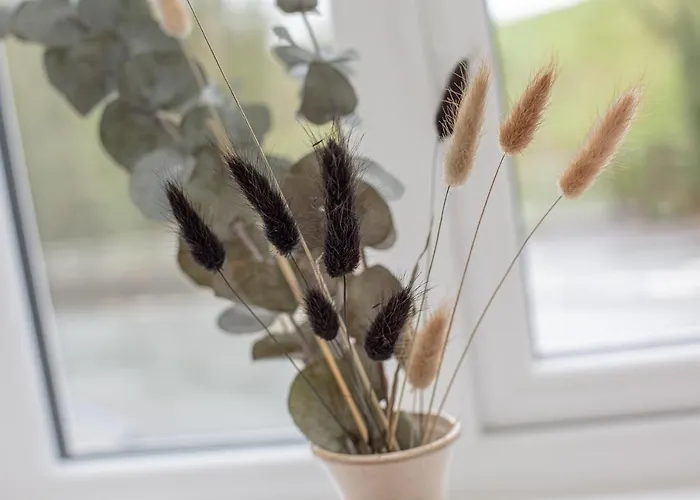 The Old Mill 宾馆 Dearham